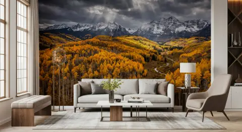 Sunlit Golden Aspen Valley Mountain Mural