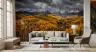 Sunlit Golden Aspen Valley Mountain Mural 1
