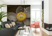 Elegant Anemone Bloom Macro Floral Wall Mural
