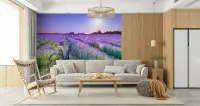 Sunlit Lavender Field Bicycle Wall Mural