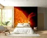 Cosmic Sun Flare Wall Mural 1