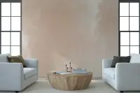 Subtle Terracotta Textured Wall Mural