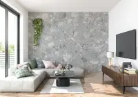 Contemporary Grey Terrazzo Wall Mural