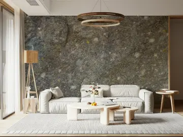 Natural Textured Stone Wall Mural