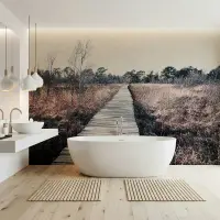 Serene Boardwalk Landscape Wall Mural