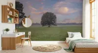 Serene Meadow Lone Tree Wall Mural