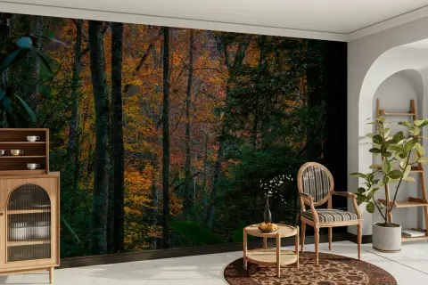 Golden Russet Autumn Forest Immersion Wall Mural