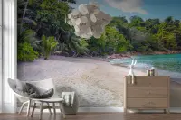 Lush Jungle Bordered Sandy Beach Wallpaper Mural