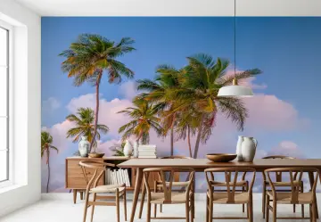 Tropical Palm Trees Sunset Sky Wall Mural