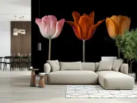 Dramatic Tulip Trio Wall Mural
