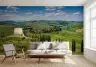 Tuscan Cypress Hills Scenic Wall Mural 2