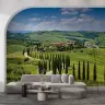 Tuscan Cypress Hills Scenic Wall Mural 1