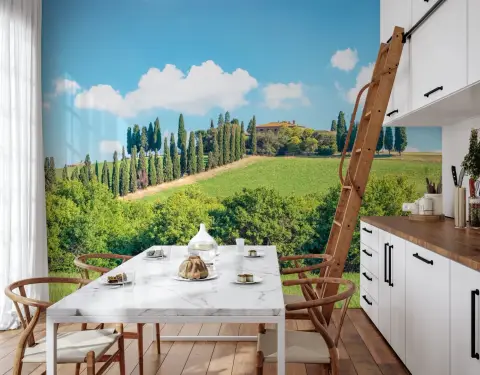 Vibrant Tuscan Hillside Landscape Wall Mural