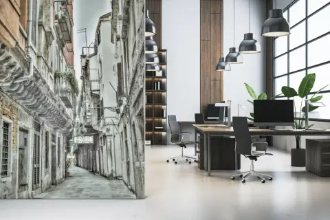 Vintage Venetian Streetscape Wall Mural