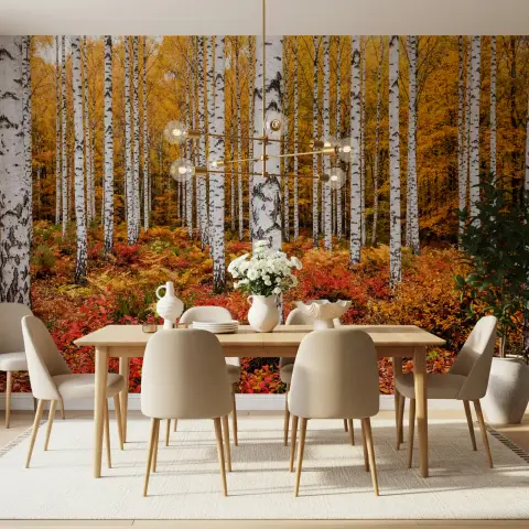 Vibrant Autumn Birch Forest Wall Mural