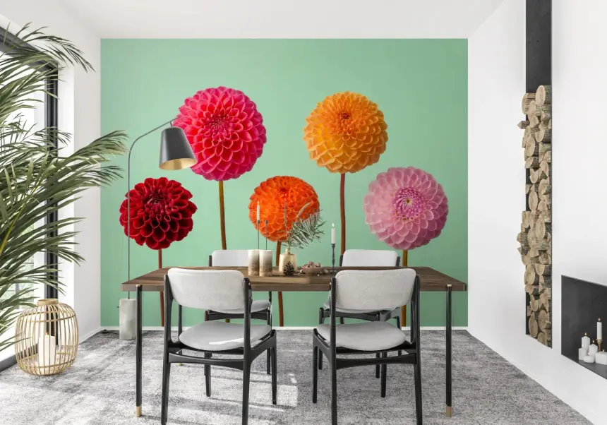 Vibrant Dahlias Wall Mural
