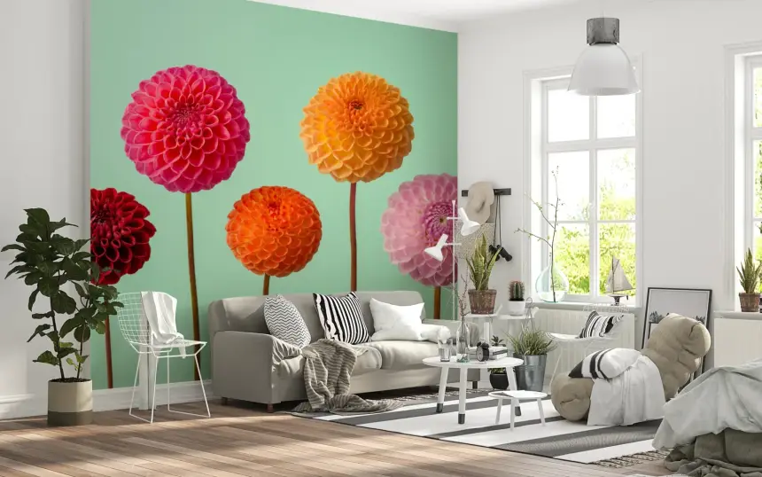 Vibrant Dahlias Wall Mural