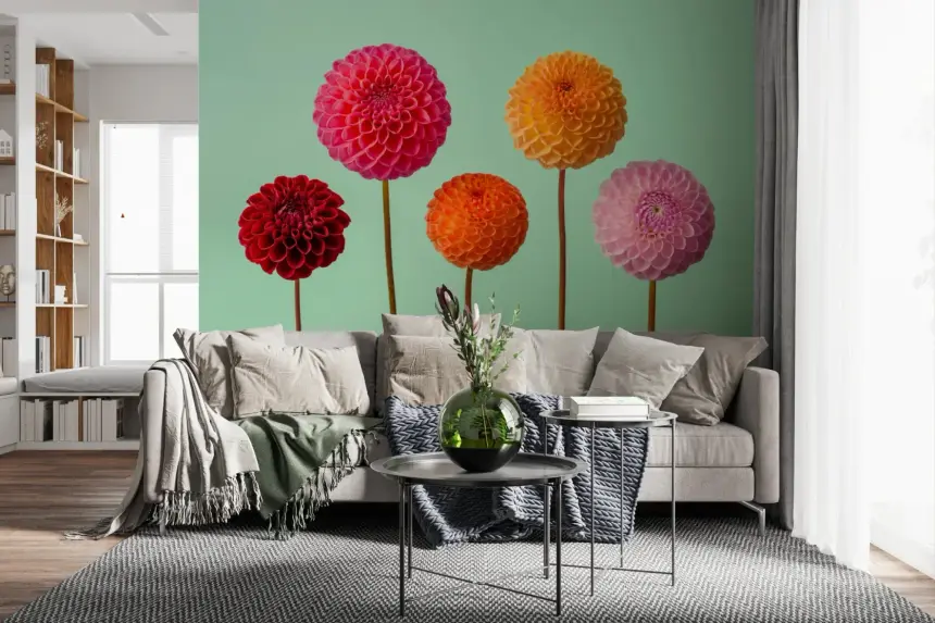 Vibrant Dahlias Wall Mural