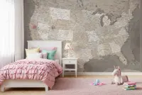 Detailed Vintage North America Map Wall Mural