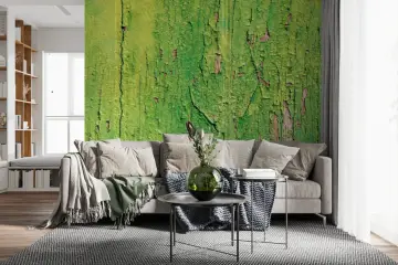 Rustic Green Peeling Paint Wall Mural