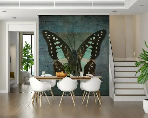 Teal Bluebottle Butterfly Entomology Display Wallpaper