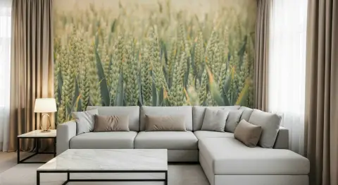 Lush Green Wheat Field Wall Mural