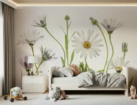 Fresh Daisy Bloom Botanical Wall Mural