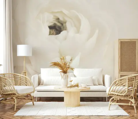 Serene White Bloom Close-up Floral Wall Mural