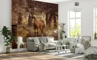 Wild Horse in Golden Autumn Forest Wall Mural