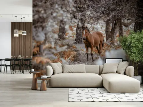 Majestic Wild Horse Forest Wall Mural for Home Decor