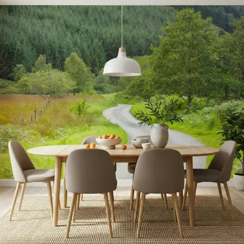 Winding Forest Path Scenic Wall Mural