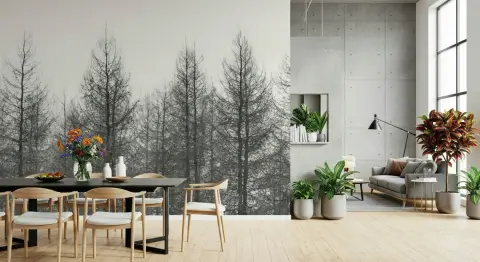 Monochrome Bare Trees Forest Wall Mural