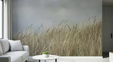 Coastal Dune Grass Landscape Wall Mural