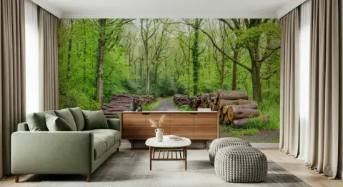 Lush Green Forest Path Wall Mural