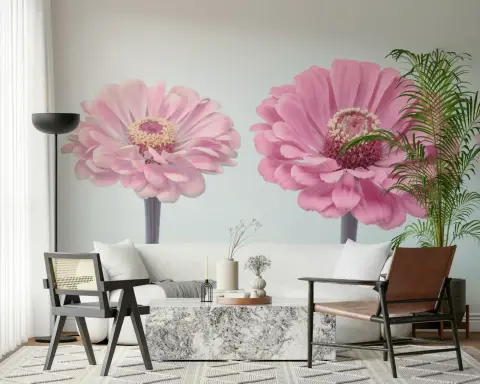 Giant Pink Zinnia Floral Wall Mural