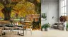 Autumn Park Bench Scenic Wall Mural 7