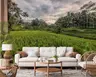 Lush Rice Terraces Wall Mural 6