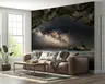 Coastal Cave Milky Way Night Sky Wall Mural 8