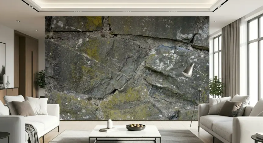 Cracked Stone Texture Wall Mural -2566627