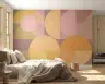 Blush and Gold Geometric Circles Wall Mural 7
