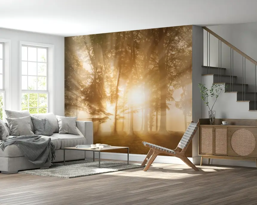 Golden Rays Through Trees Wall Mural - 2231289