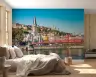 Historic Lyon Cityscape Riverfront Wall Mural 6