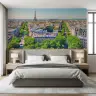 Eiffel Tower Panorama Parisian Boulevard Wallpaper 6