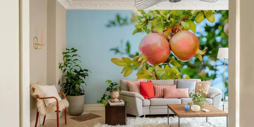 Pomegranate Grove Wall Mural