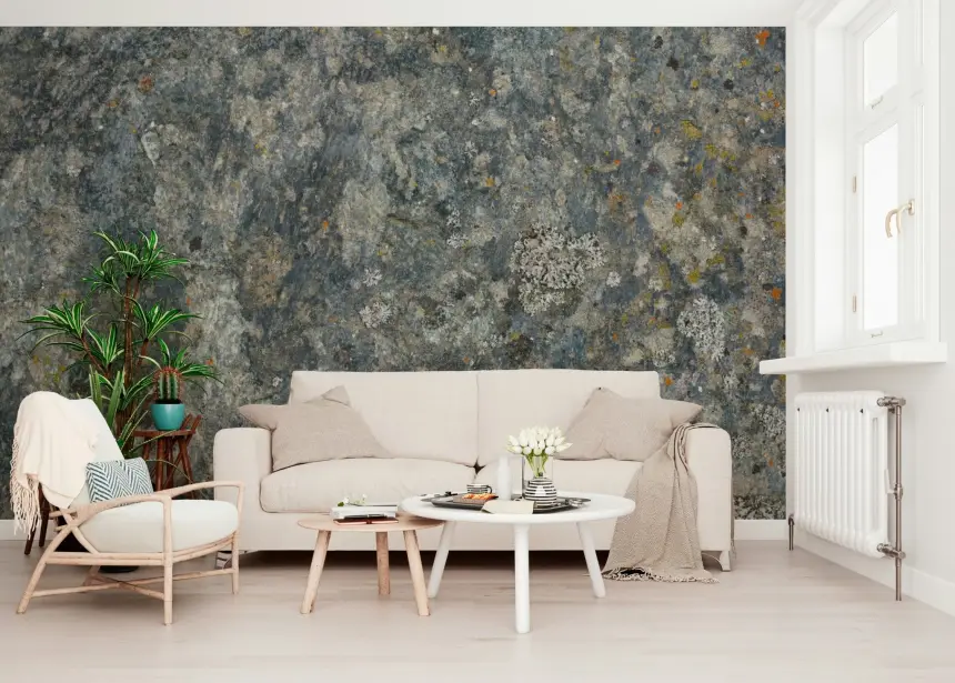 Stone Whisper Wall Mural -2566589