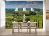 Tuscan Cypress Hills Scenic Wall Mural 6