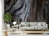 Rustic Weathered Tree Bark Texture Wall Mural 6